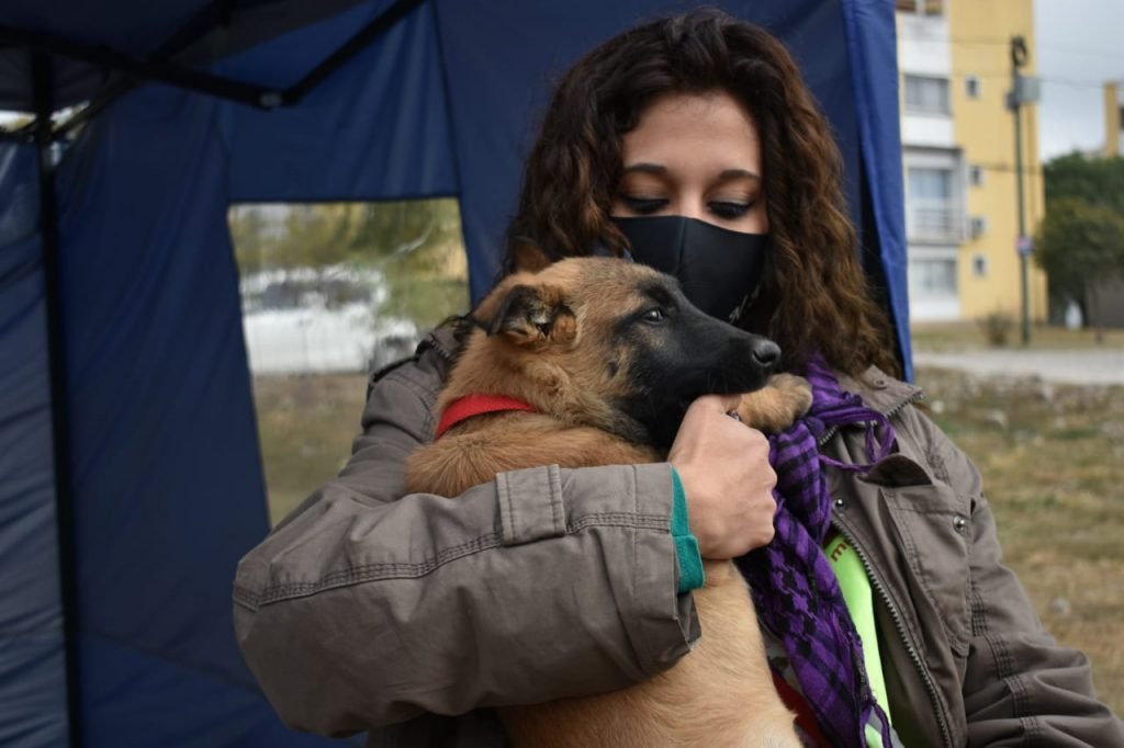 La campaña de vacunación antirrábica se realizará en San Luis